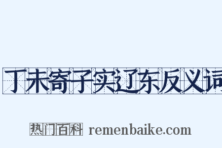 丁未寄子实辽东反义词是什么意思的图片